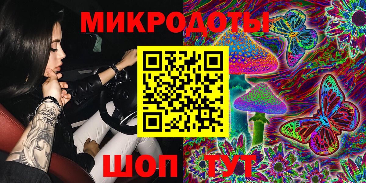 Псилоцибиновые грибы Psilocybe Бузулук